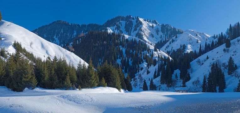 风雪天山