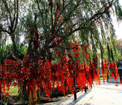 宁波 东钱湖 小普陀