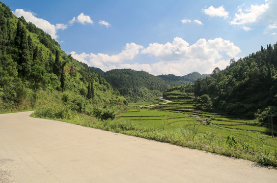 农村水泥路