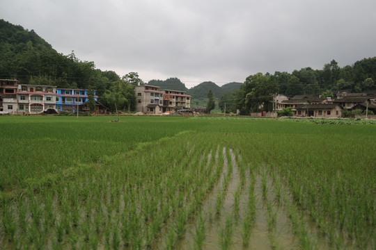 村寨田园