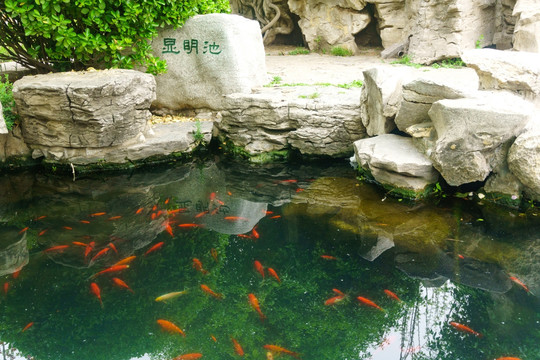 济南五龙潭