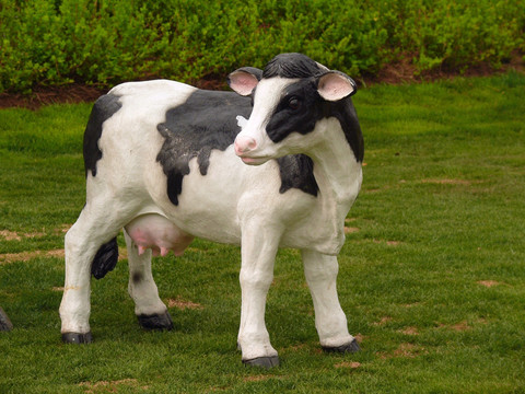 一只奶牛塑像
