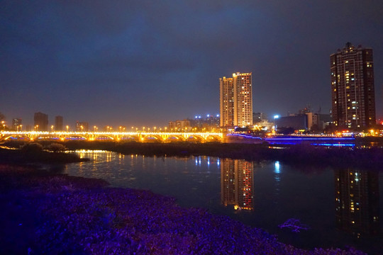 德阳旌湖夜景 德阳凯江大桥