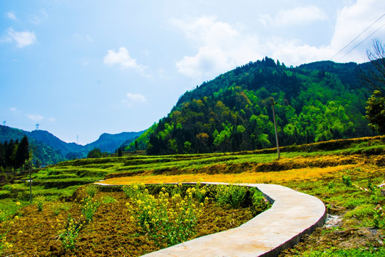 山村 小路