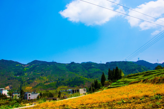 山村 山岭