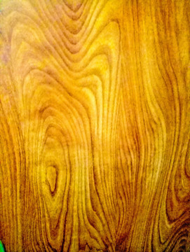 木纹 木板 木材 年轮