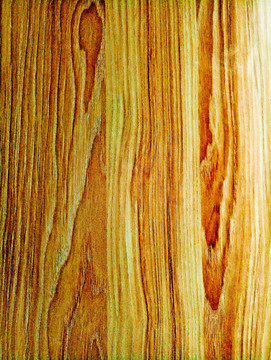 木纹 木板 木材 年轮