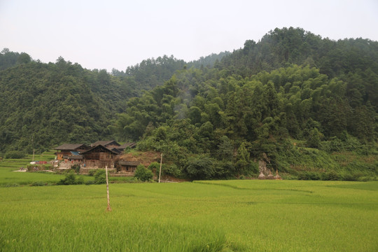 山野人家