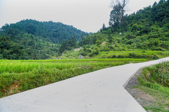 龙田水泥路