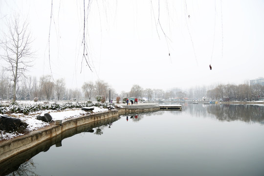 公园雪景