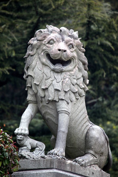 雕塑 狮子 石头狮子 石狮子