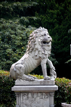雕塑 狮子 石头狮子 石狮子