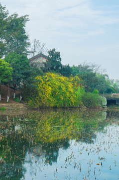 春天