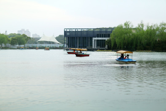 上海郁金香公园