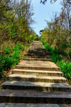 爬山山路 上山的路 爬山路