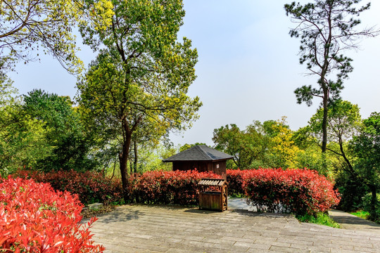 山间石板路 石阶 山路