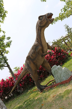 恐龙 恐龙模型