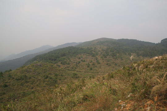 采石场地远景