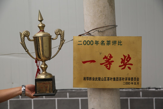 茗茶获奖