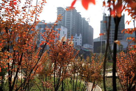 广场名阁远景