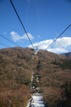 冬天森林