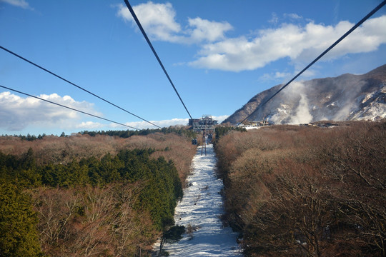 冬天森林