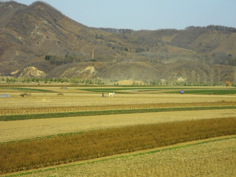 山村春耕