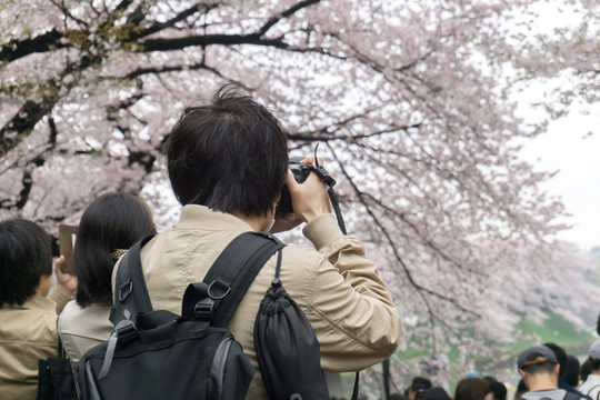 日本旅游 拍照