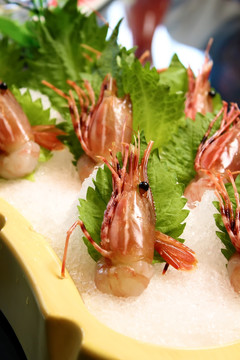 海鲜刺身牡丹虾