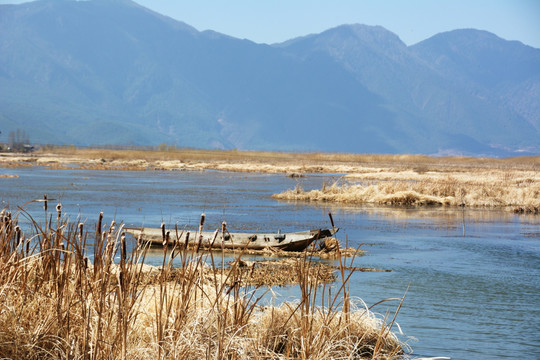 泸沽湖 高原湖泊 草海