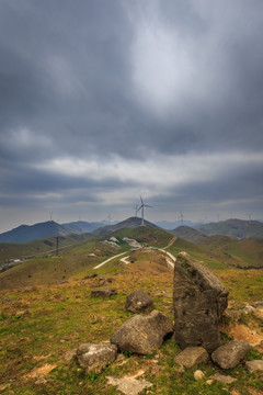 南山牧场