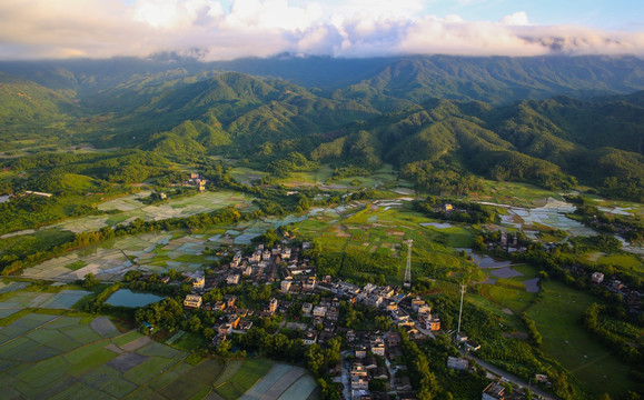 田园风光 田野 大地