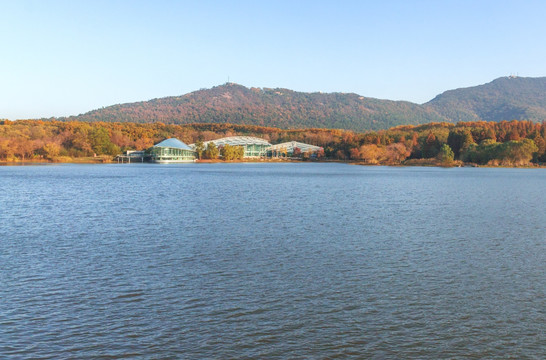 南京中山植物园