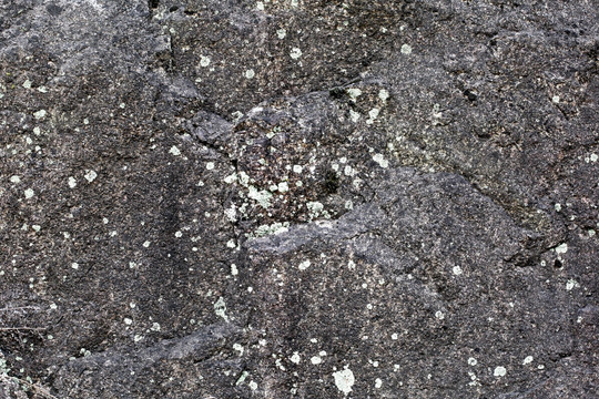 岩壁 岩石 苔藓 青苔 素材