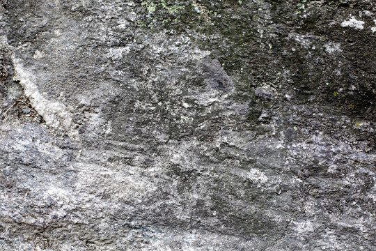 岩石 青苔 苔藓 地衣 断崖