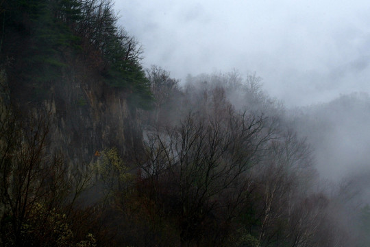 雾霭 雾 公路 山路 浓雾