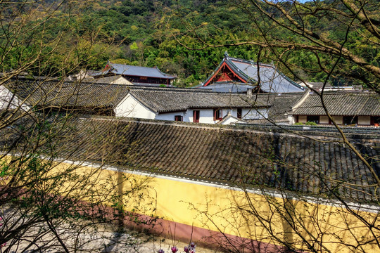 山林庙宇 寺院