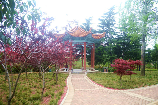 公园风景