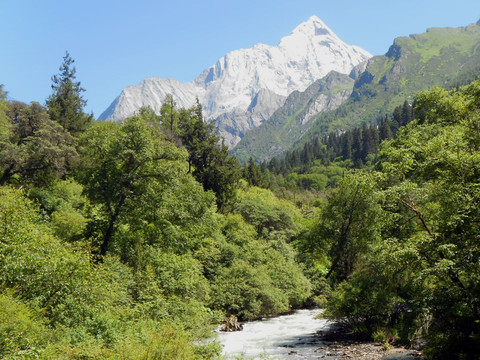 四姑娘山主峰 山溪河流