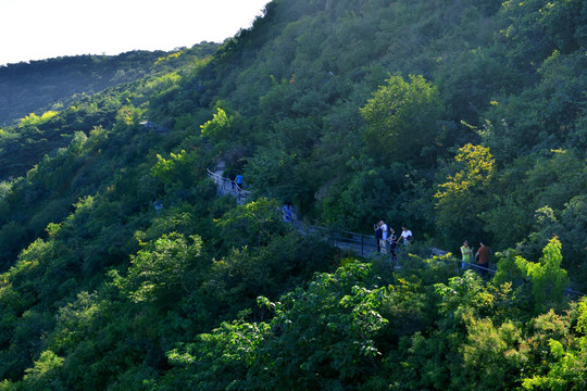 北京香山公园