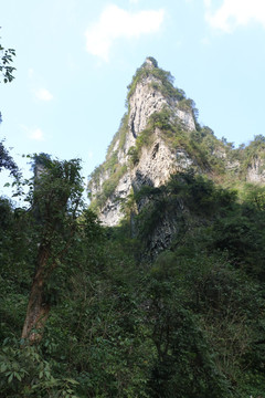 自然风景