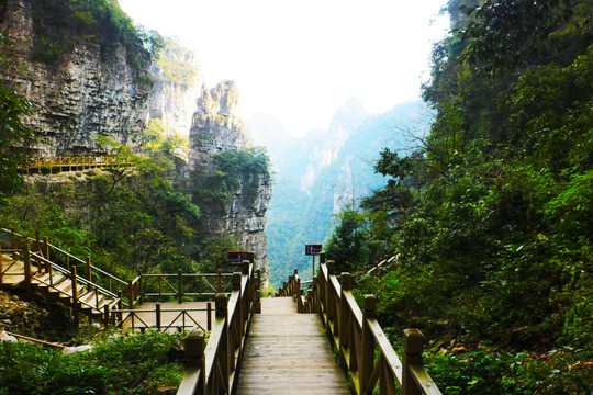 自然风景