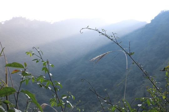 自然风景