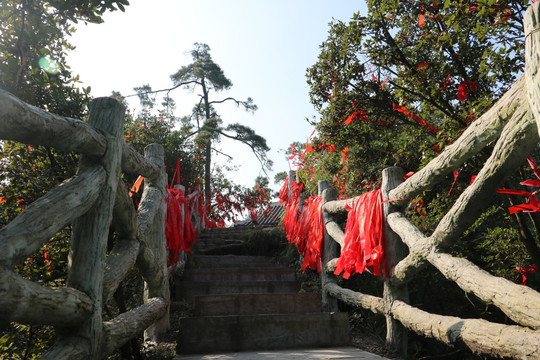 自然风景