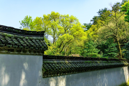 寺庙建筑 寺庙围墙