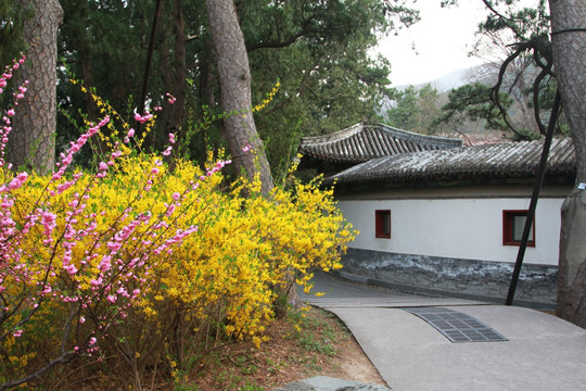 香山公园