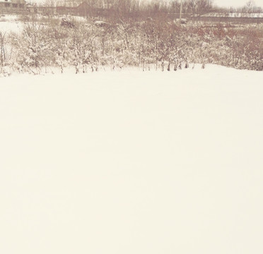 乡村雪景