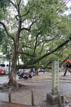 奈良 东大寺