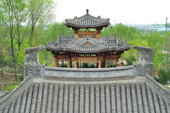 传统园林