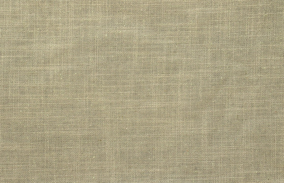 布纹 细布纹 底纹